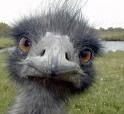 Moin BLOG
